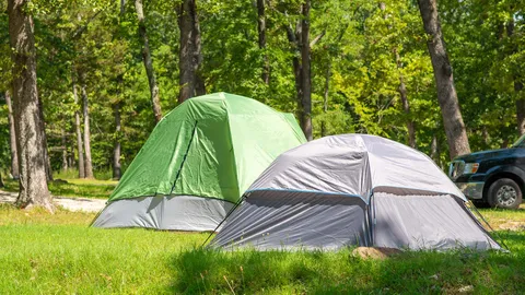 Rustic Popup/Tent Site — image 3 of 3