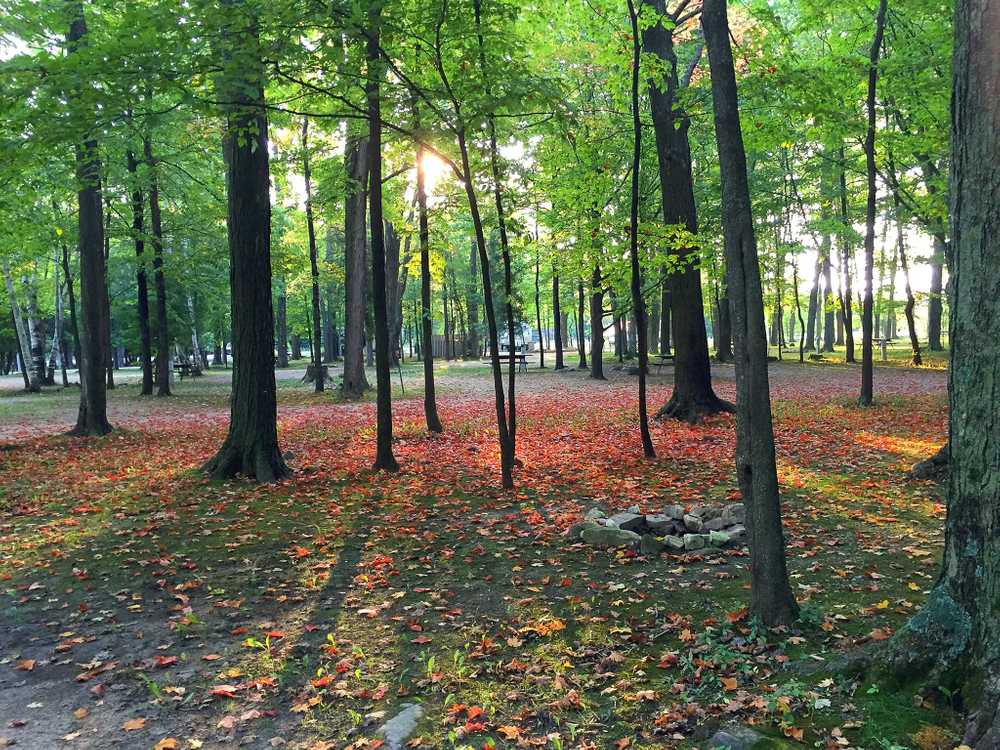 Yogi Bear’s Jellystone Park Camp-Resort of Door County - Photo 5