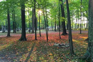Yogi Bear’s Jellystone Park Camp-Resort of Door County – photo 5