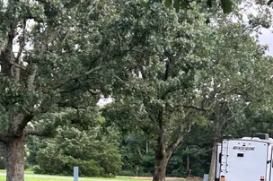 Cobb RV Park – photo 2