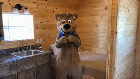 Boo Boo™ Cabin Pet Friendly — image 2 of 4