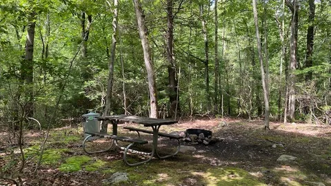 Yellow Trail Tent Site (map #15) Note: site access requires 5 minute hike from parking area — image 1 of 5
