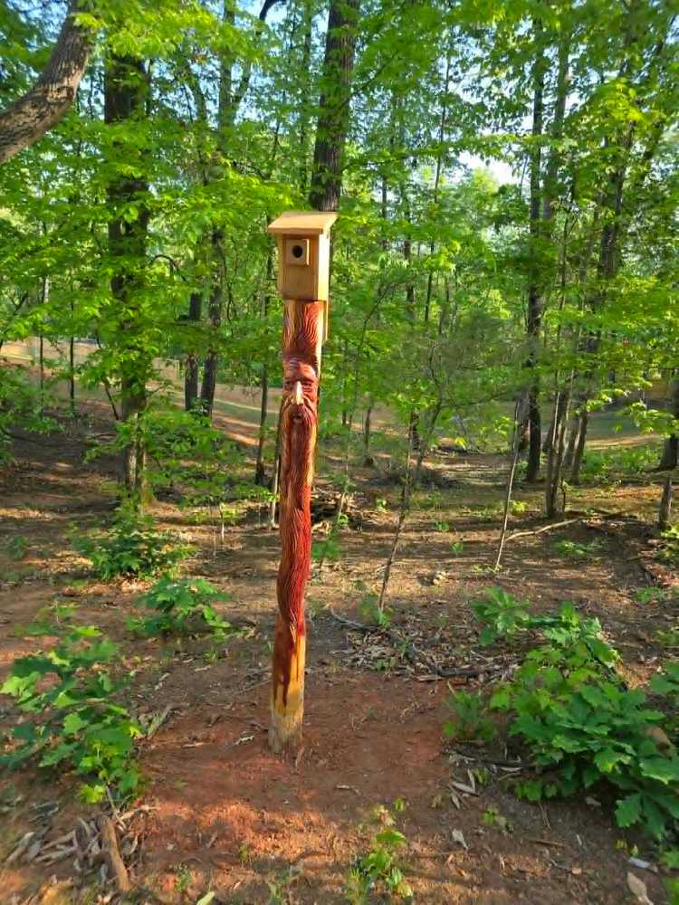 Park Image 5