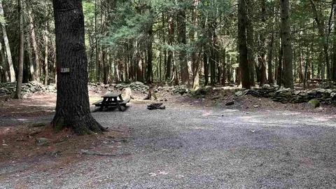 Pines Water and Electric Site — image 2 of 4
