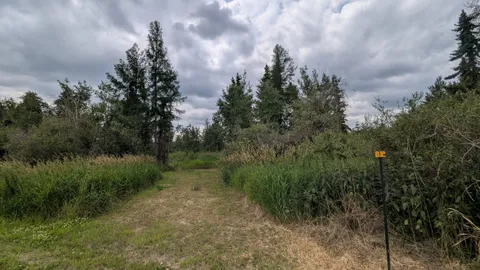 Unserviced Camping — image 2 of 20