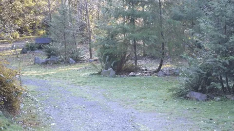 30 AMP Sunset Camping Site — image 1 of 5