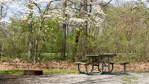 RV Site — image 1 of 1