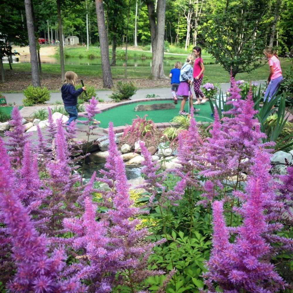 Triponds Family Camp Resort - Photo 4