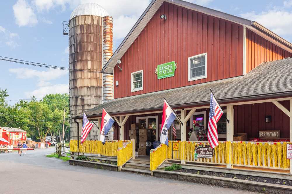Yogi Bear's Jellystone Park™ Camp-Resort: Gardiner - Photo 4