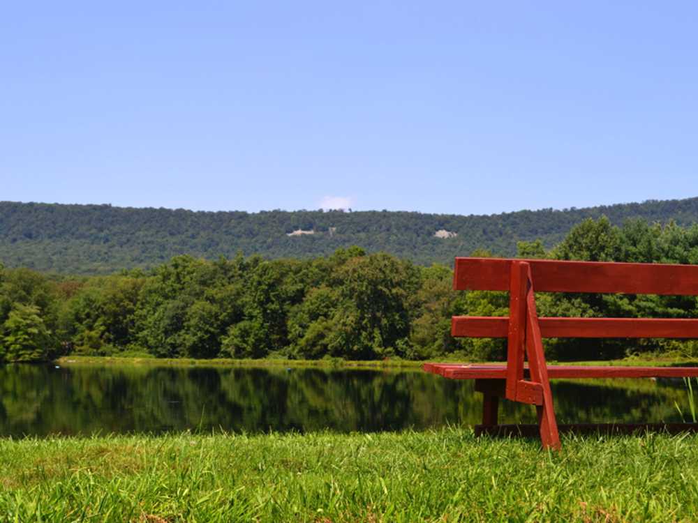 Camp Swatara - Photo 2