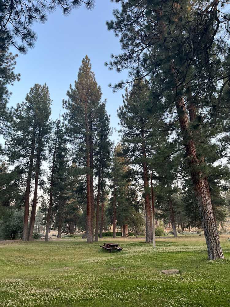Park Image 6