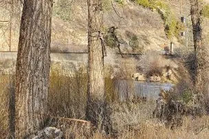 Pioneer Park Campground – photo 3