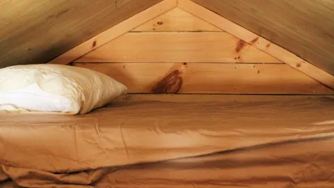 Sleeping Cabin with Loft (sleeps 3) — image 5 of 5