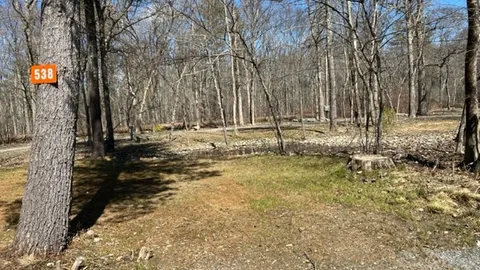 Standard Tenting — image 2 of 2