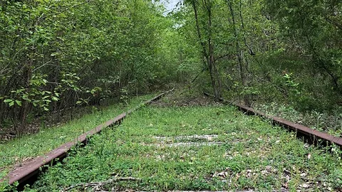 Group Primitive Campsites — image 6 of 6