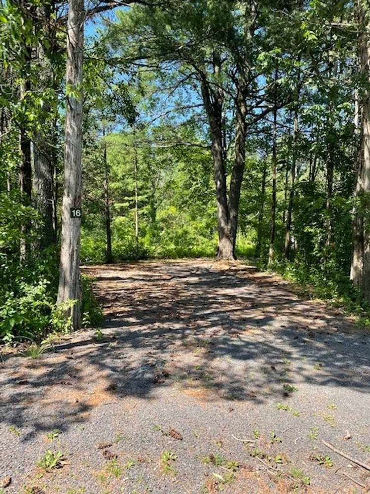 Park Image 8