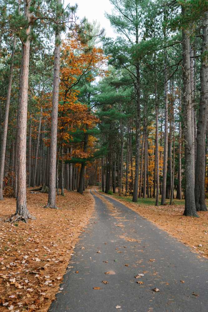 Park Image 14