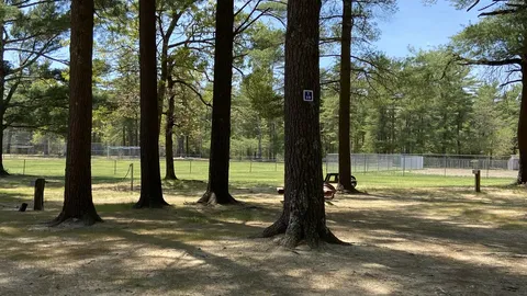Full RV Site - 30 AMP — image 1 of 17
