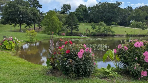 Ouachita Campground at Edendell, Oden, Arkansas campground