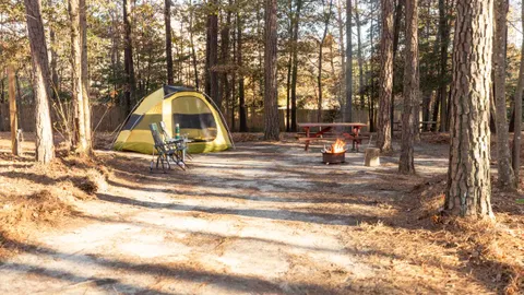 Water + Electric Tent Site — image 1 of 1