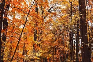 Ogeechee Crossing Park – photo 3