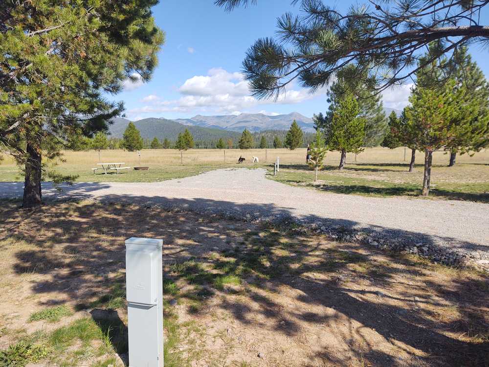 Lost Moose Meadows Campground, Lincoln, Montana - Photo 4