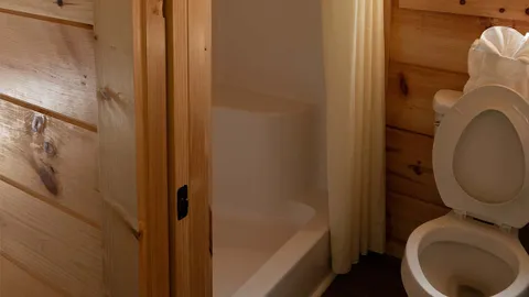 Hickory Forest Deluxe Cabin — image 2 of 6