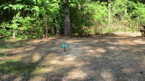 Tent Site — image 3 of 3