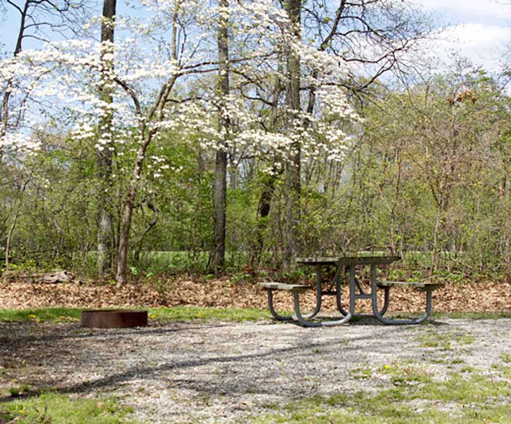 Mill Creek Park Marshall, Illinois Campspot