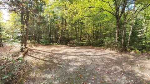TENT (or small RV) Sites — image 2 of 7