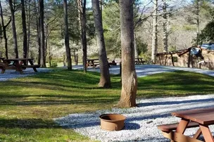 Rose Creek Campground & Cabins – photo 3