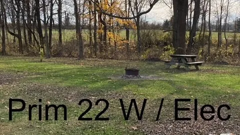 Electric Tent Site — image 2 of 3