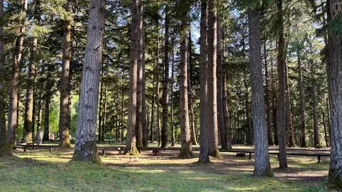 Section C - Power and Water Stes — image 5 of 5