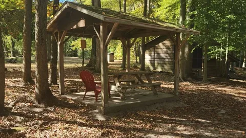 Overnight Tall Timbers — image 2 of 7