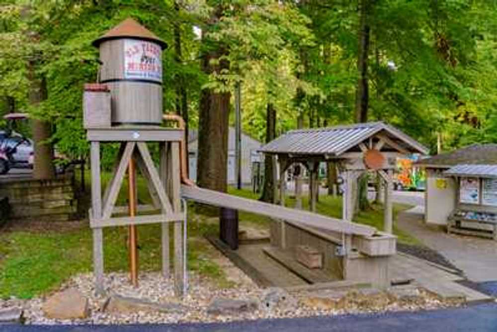 Jellystone Park™ Columbus North - Mount Gilead, OH - Photo 2