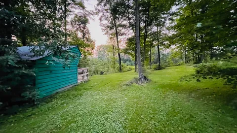 Lean-To Sites — image 2 of 6