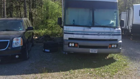 06 Bobcat — image 1 of 1