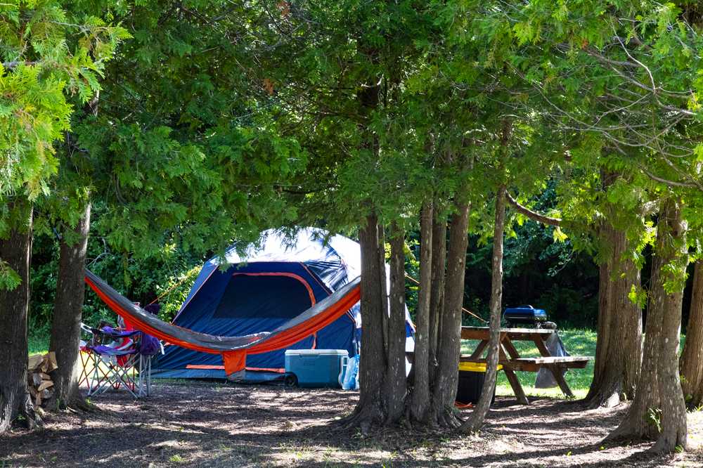 Lakeshore RV Campground - Photo 5
