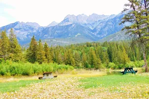 Spruce Grove Campground – photo 3
