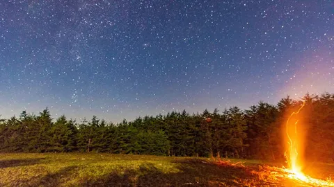 Starfield Camping — image 1 of 1