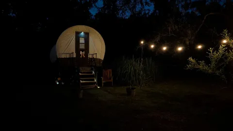 Covered Wagon — image 12 of 12