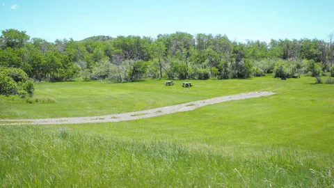 Elks — image 2 of 4
