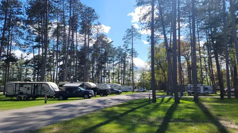 Basic Pull-Through RV Site — image 1 of 8