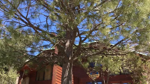 Raccoon Condo w/Kitchenette — image 1 of 6