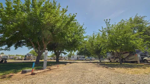 Wooded Pull-Through Site — image 1 of 1