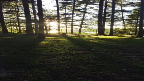 Lakeview Campsite — image 2 of 2