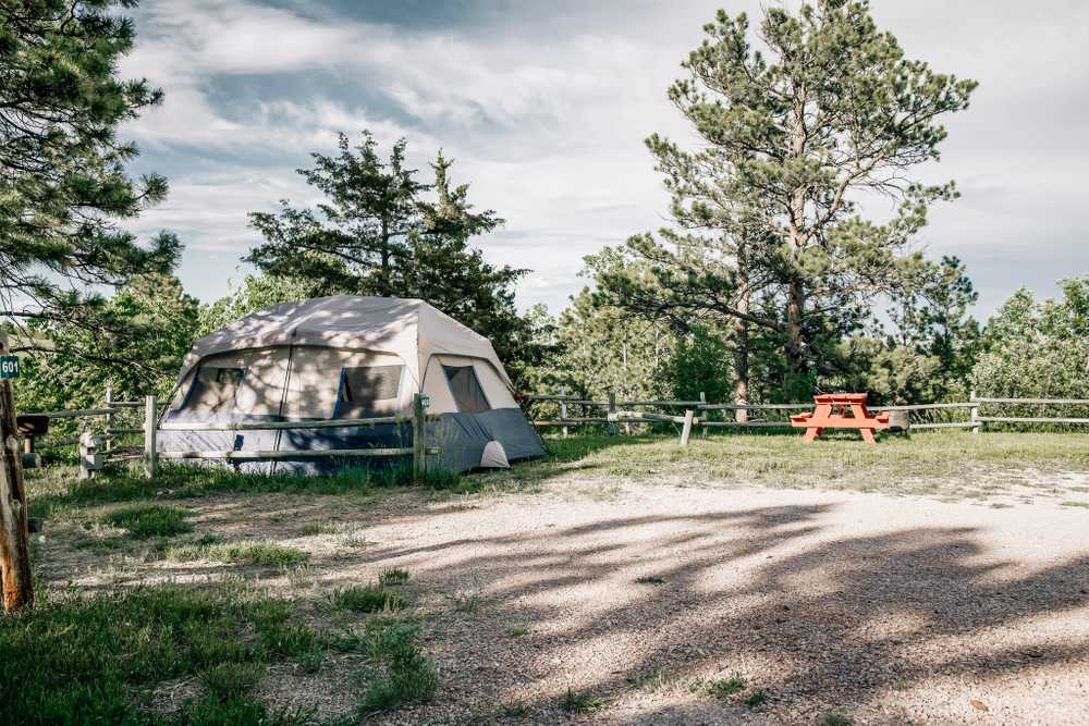 Rapid City RV Park and Campground - Photo 3