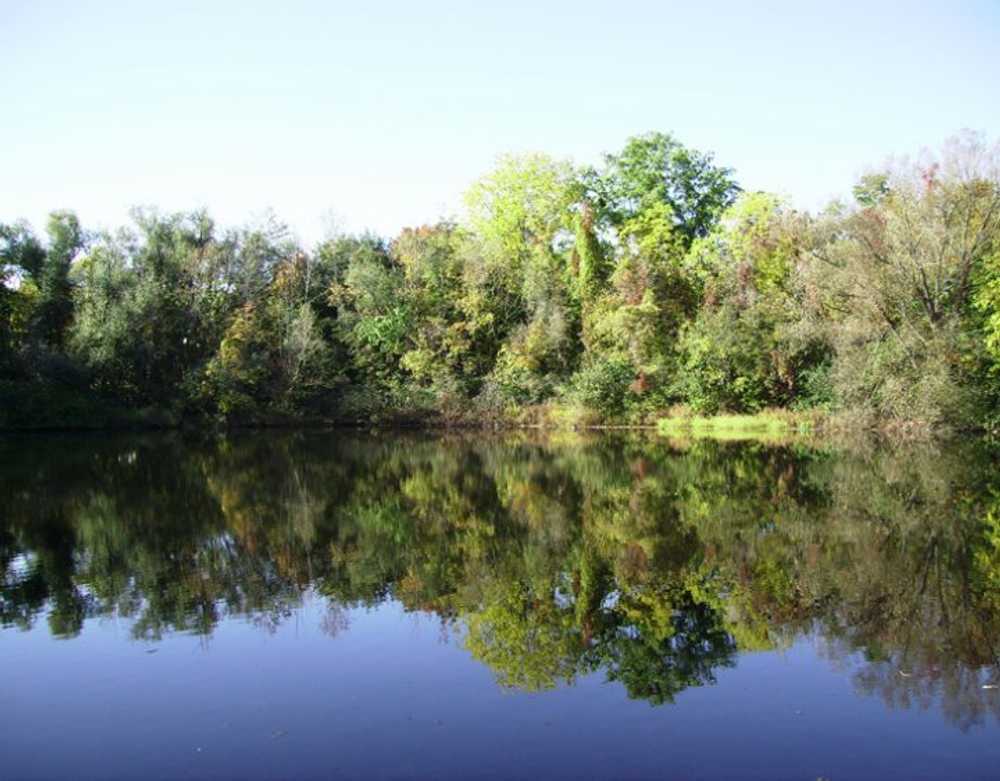 Red Rock Ponds RV Resort - Photo 2