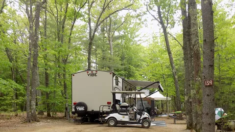 Premium Back-In RV Site — image 5 of 5