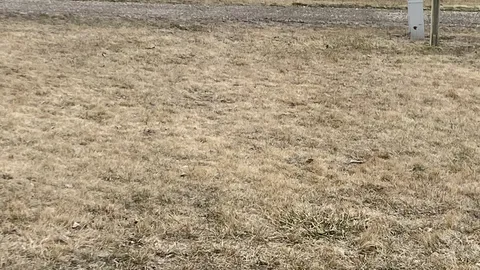 30 Amp, Pull Through, Grass site — image 2 of 2